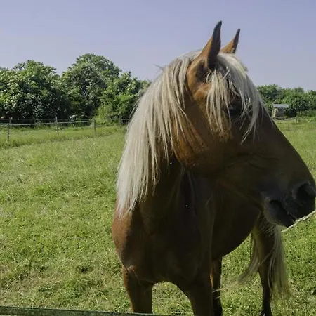 Le Refuge * Saint-Julien-les-Villas