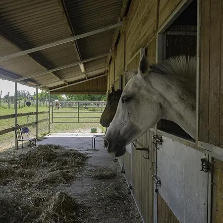 Le Refuge Saint-Julien-les-Villas
